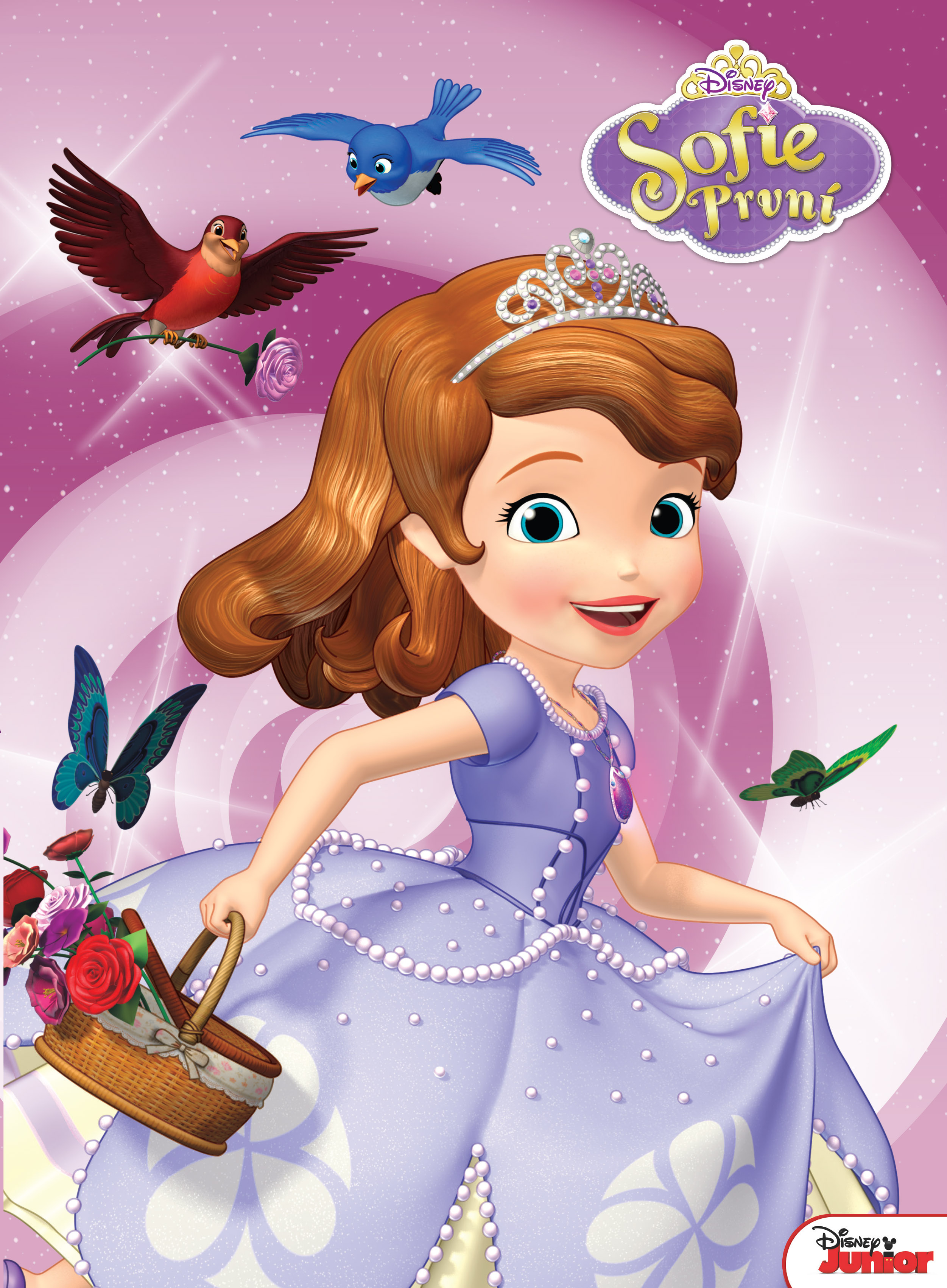 Disney Princezny Estranky Cz Sofie Sofie